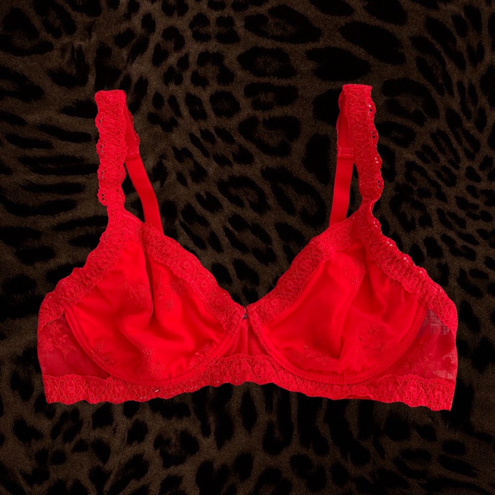Vintage Vibrant Red CaroCuore Mesh Bra w/ Lace Trim